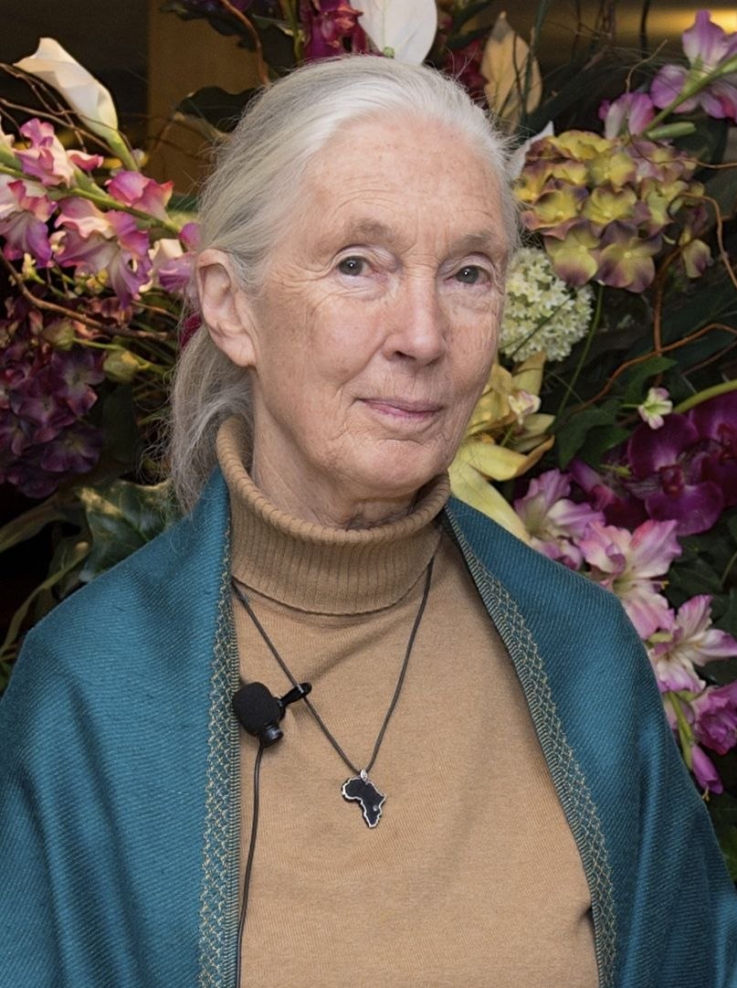 Джейн Гудолл (1934–2025)